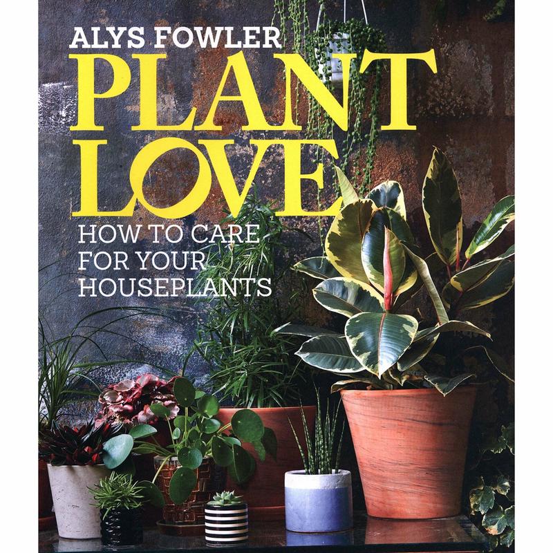 Plant Love: How to choose and care for your houseplants