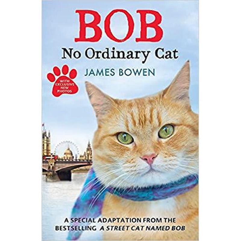 Bob: No Ordinary Cat