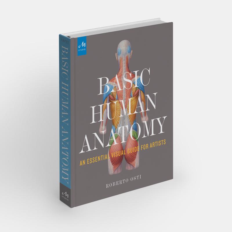 Basic Human Anatomy: An Essential Visual Guide for Artists