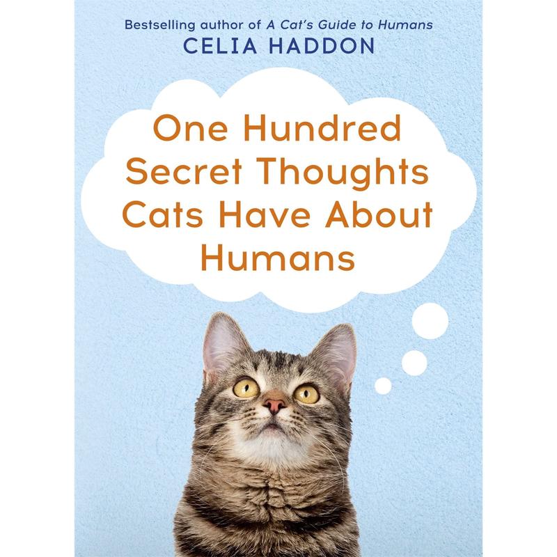 [PACKED] One Hundred Secret Thoughts Cats Have About Humans
